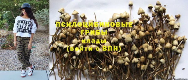 a pvp Бронницы