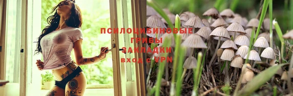 сатива Снежногорск
